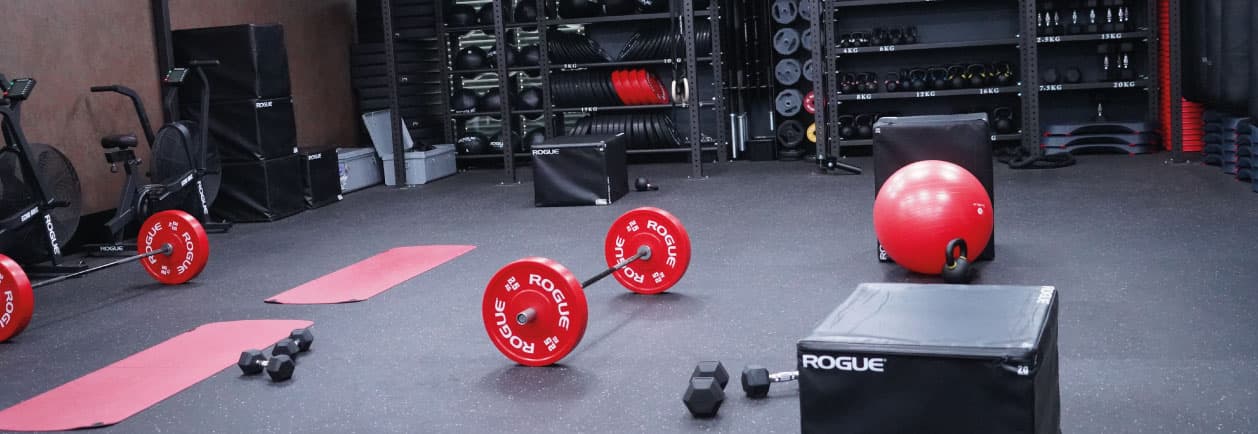 Studio Arena